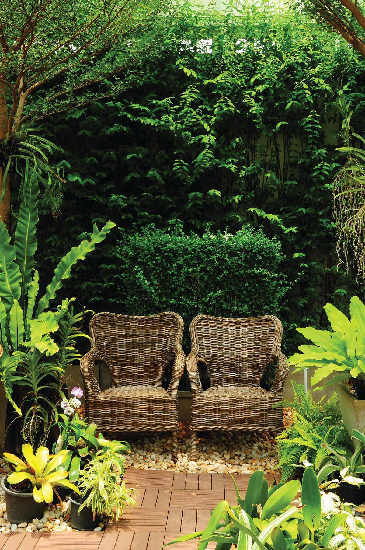 tropical oasis backyard on Backyard Getaway Living Magazine