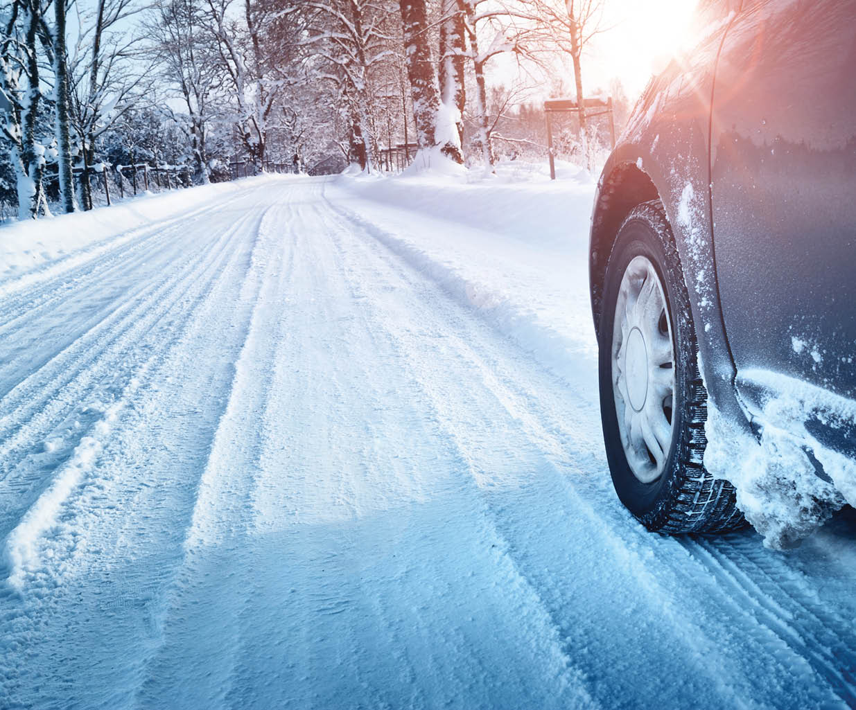 Winterize! Living Magazine Winterize! Living Magazine