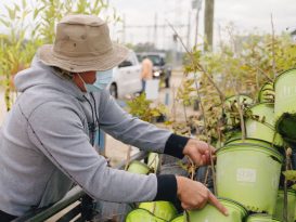 Trees For Houston - Living Magazine - January 2021